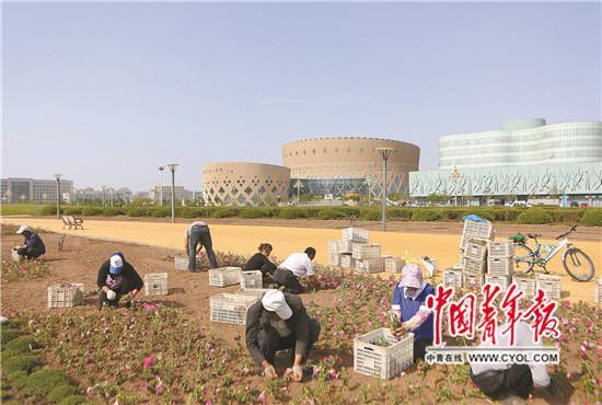 探访鄂尔多斯“鬼城”:大片房屋空置无人居住