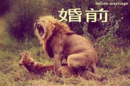 求你别再出去丢人现眼了!