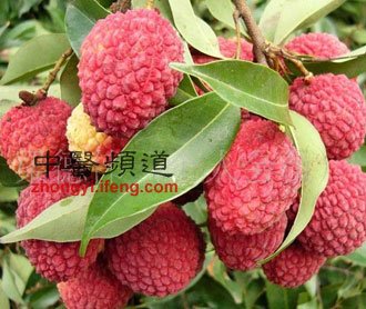 17种最壮阳滋补的食物 男人必吃(图)