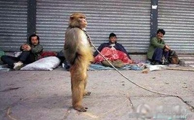 晚间版:小心!大 师兄 要抢劫_新闻_腾讯网