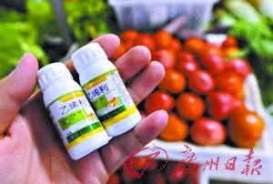 蔬菜滥用催熟剂现象值得关注。这是记者在合肥农资市场买到的“乙烯利”植物生长调节剂（7月17日摄）。新华社 发