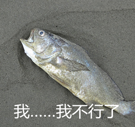 女子水源地洗脚 称“让市民喝我的洗脚水”，太嚣张！