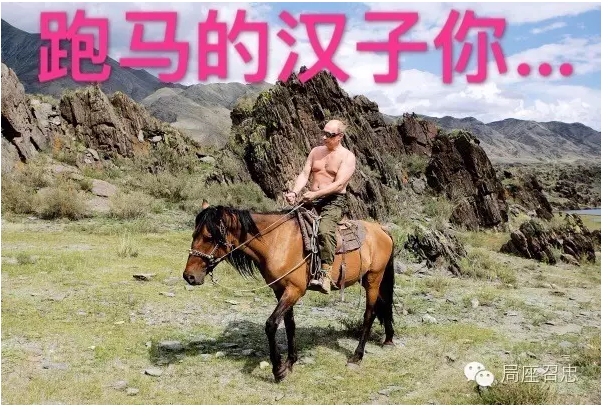 张召忠分析普京是否会对乌克兰动手 - 海阔山遥 - . 一言不合就要打乌克兰?普京就是这样的汉子…
