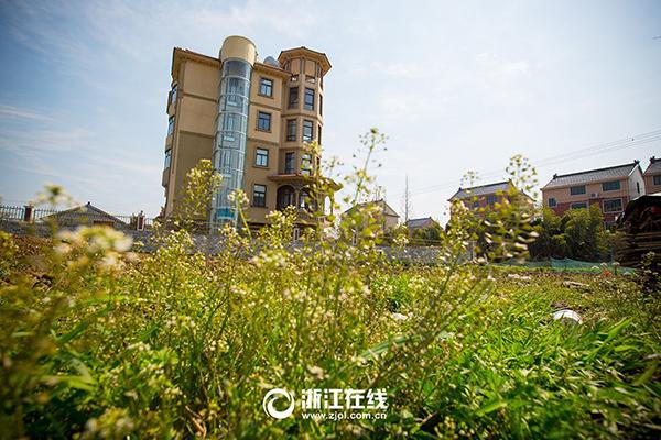 表白失败就跳楼，爹娘白养你