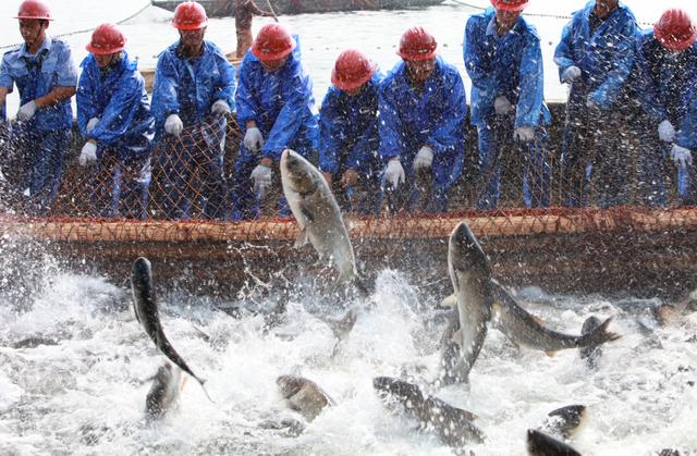 "大美渔村平安渔业"中国渔业摄影展开始征稿