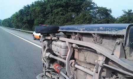 �Ĵ�Ƥ�����෭��16��ʬ�� ������ϵ��ѧ�걾