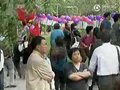 视频：南京相亲会 父母子女齐上阵