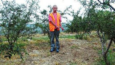 ��ĳָ���ֳ� ������ͼ 