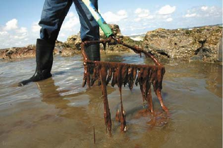 渤海湾漏油面积扩大 环保组织拟提公益诉讼