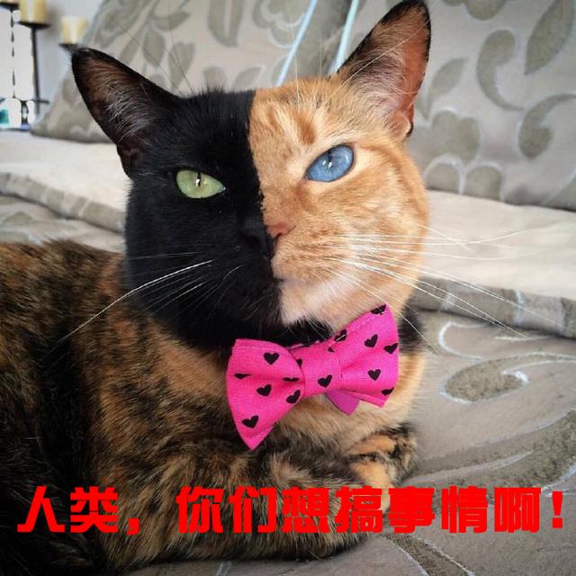 活久见！男子因吃旺旺雪饼运气没变旺，竟写信举报！