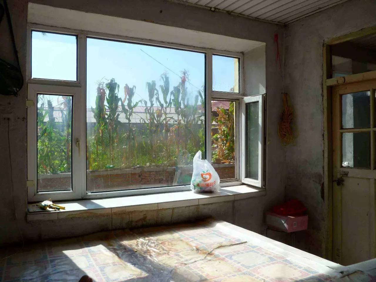 麦尔在大荒地村租住的房间的窗外 麦尔在大荒地村租住的房间的窗外