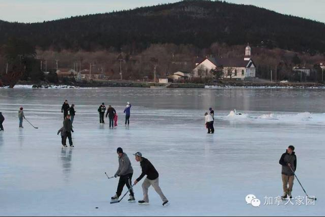 卖淫合法嫖妓却违法 28个关于加拿大的冷知识