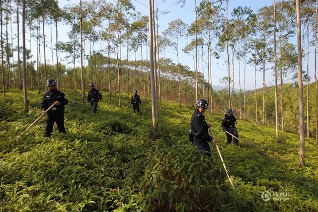 广东男子杀两人后潜逃 数百警力搜山将其抓获
