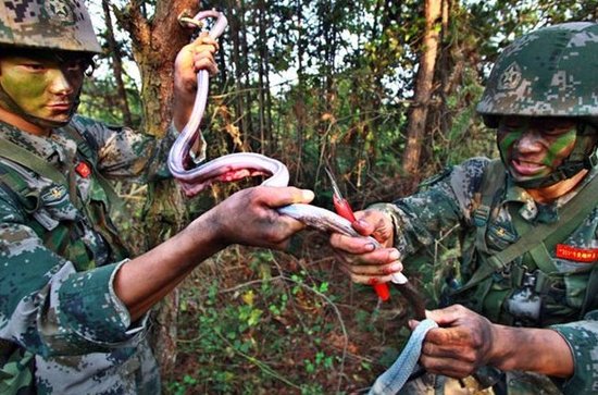 中国特战队员国外极限训练 生吃蛇肉喝尿维生