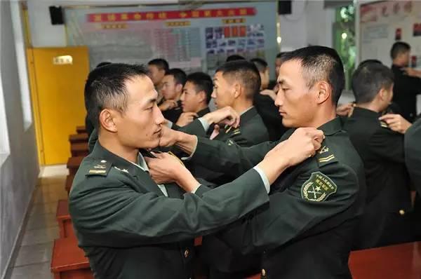 这对兄弟这么牛？居然被画进了动漫片