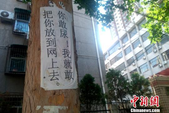 登录查看大图