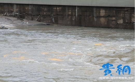 贵州被洪水冲走大黄鸭残骸现身河水中(图)