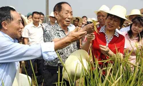 袁隆平描绘超级稻新蓝图：3分地养活1个人(图)