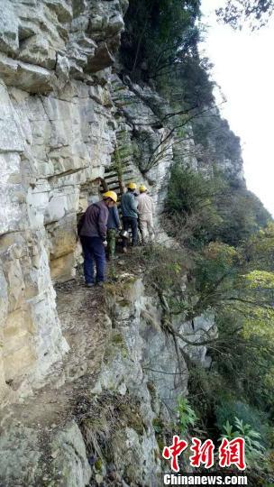 记者采访悬崖村:政府要用钢管重修“天梯”
