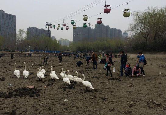 ֣�ݶ���԰�˹�����ɺ� ����С��������ںӰ�