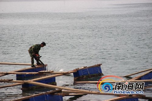 陵水黎族自治县黎安镇人口_陵水黎族自治县