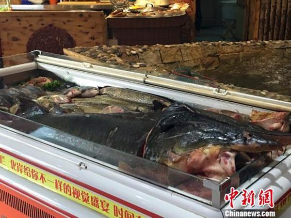 哈尔滨“天价鱼”店家承认服务员代签账单