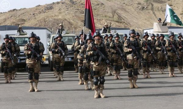 经脉-经脉文章-条目网