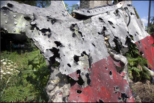 马航mh17客机残骸照片.