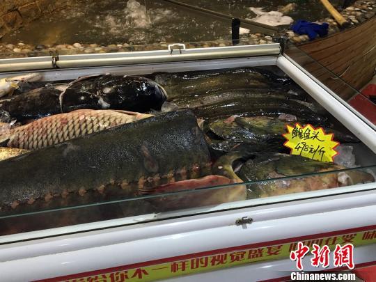 哈尔滨“天价鱼”店家承认服务员代签账单