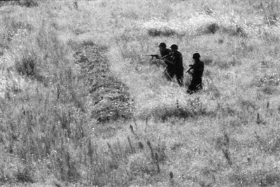 疯牛伤人遭百人追杀 特警10多枪将其击毙