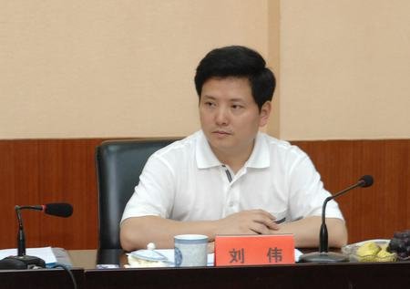 重庆市政府调整12名干部职务 刘伟出任副市长