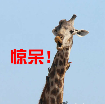 ̫嘚ɪ90Ůֱ˺飺Ҳܿܳ