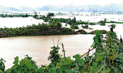 河南新乡降雨破纪录 积水漫过铁轨京广线一度中断