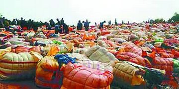 走私“洋垃圾”利益链调查：各环节均可获利 