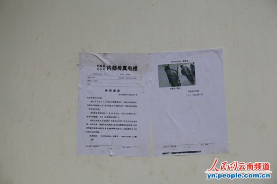 云南巧家爆炸案赵登用被人利用充当“肉弹”