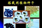 新闻标题新闻标题新