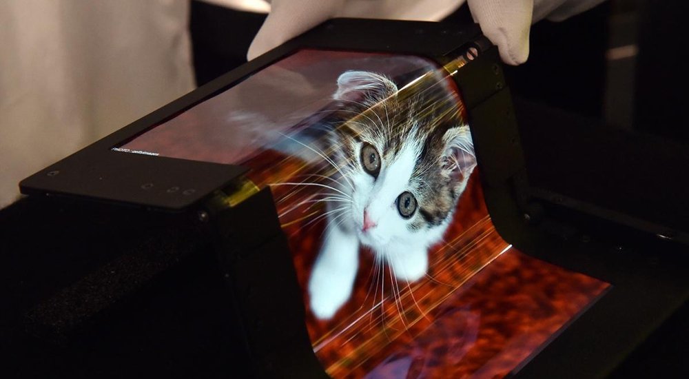 柔性显示屏亮相日本 可弯折10万次_过混还是过