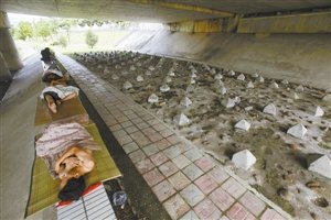 查看 67|回复 0深圳多处天桥下设水泥锥 流浪汉躺旁边睡觉(图[复制