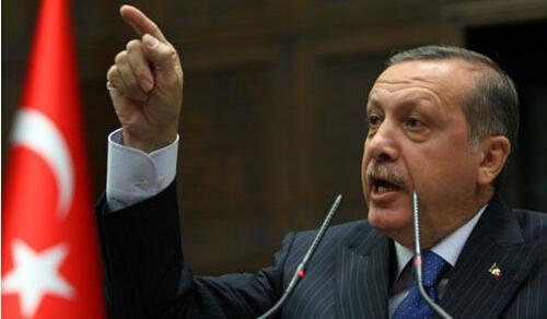 土耳其总统斥美高官支持政变言论：你是谁啊