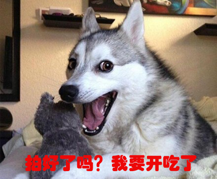 姑娘,你是有多想坑你爹!