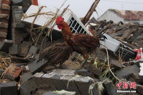 6月23日，江苏省盐城市阜宁县突遭强冰雹、龙卷风双重灾害袭击。图为阜宁县吴滩镇立新村遭遇龙卷风袭击后一片狼藉。中新社记者 谷华 摄