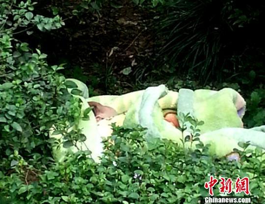 四川宜宾街头绿化带丛中现遗弃死婴警方正在调查