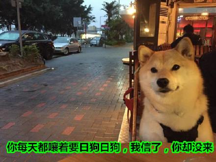 要钱没有要命一条!<em>女人真狠</em>_新闻_腾讯网