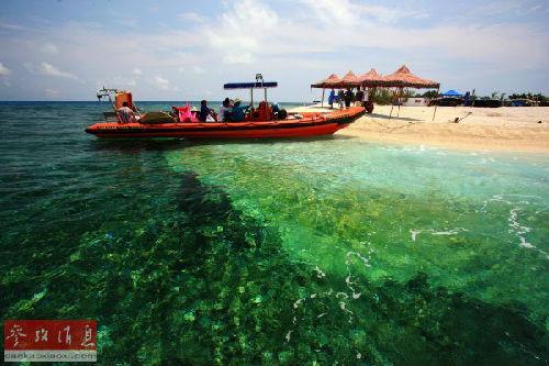 外媒:美国否认将与印度联合巡逻南海