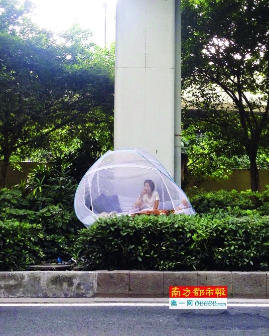 文章配图