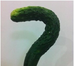 足球都硬了,外交怎能软?