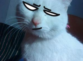 ����ƣ�ͼ�ʻ��ײ���������Ӱ��䶥���ƿ�����������·���