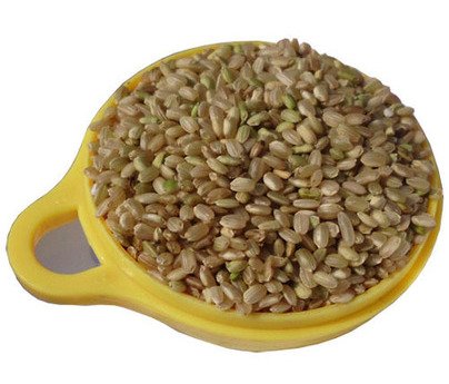 糙米有助抵御高脂肪食物诱惑