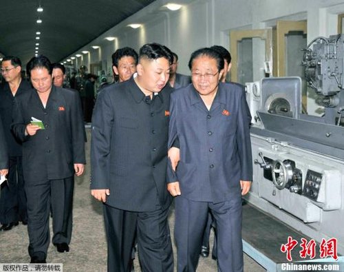 200岁柳树自燃图片