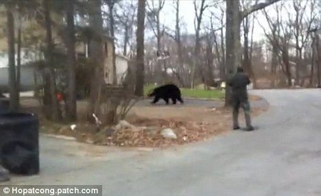 大黑熊闯入民居地窖冬眠引居民恐慌